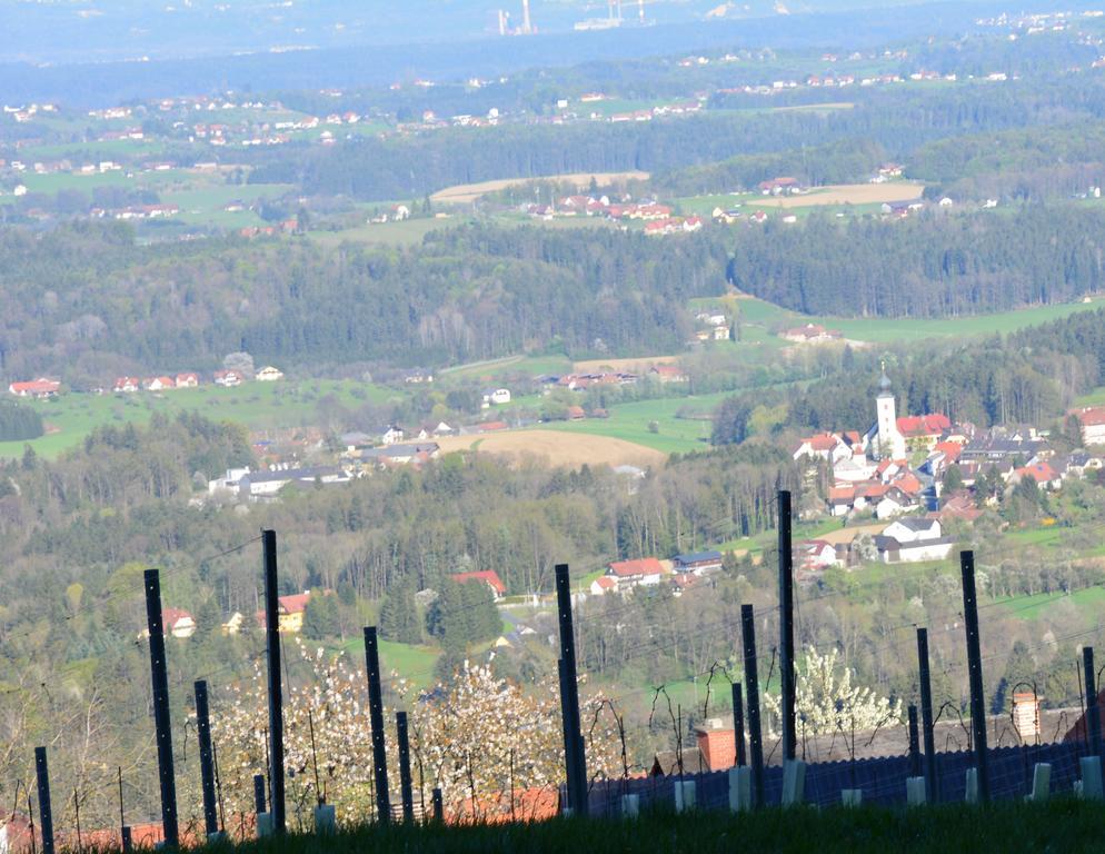 Weingut Seiner Vlg. Kraxner Villa Greisdorf Ngoại thất bức ảnh