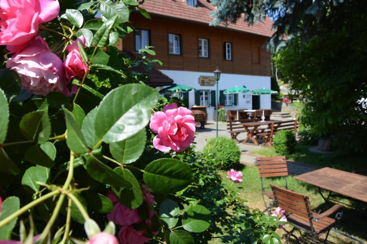 Weingut Seiner Vlg. Kraxner Villa Greisdorf Ngoại thất bức ảnh